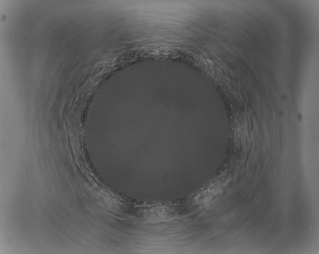 X0000062830769200602101511