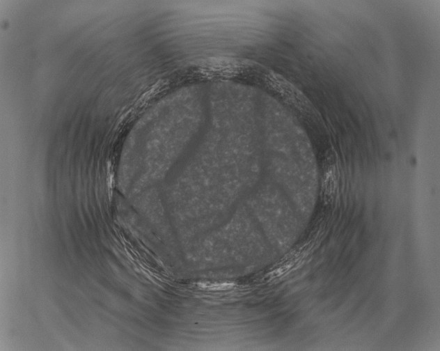 X0000062830772200602101511