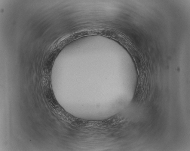 X0000062830773200602101511