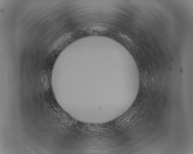 X0000062830774200602101511