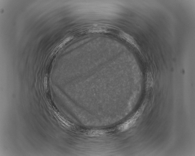 X0000062830777200602101511