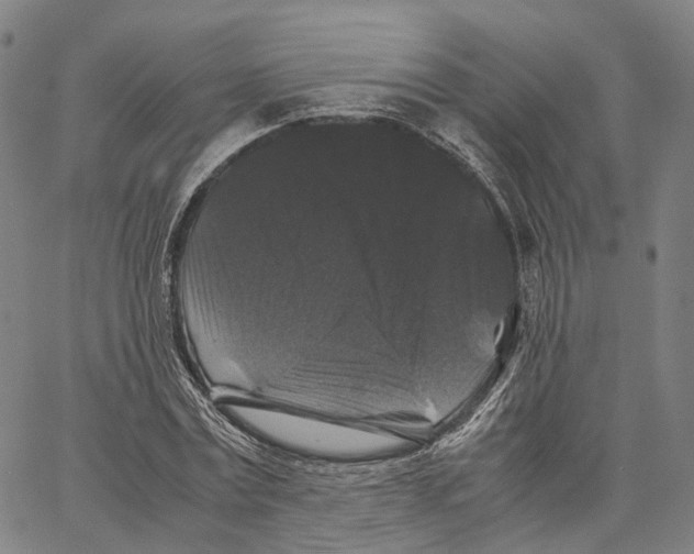 X0000062830779200602101511