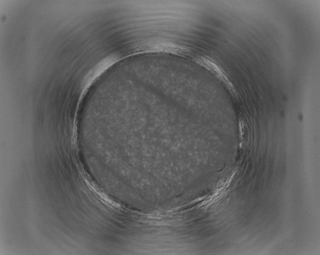 X0000062830780200602101511