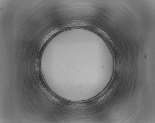 X0000062830786200602101510