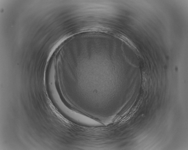 X0000062830788200602101510