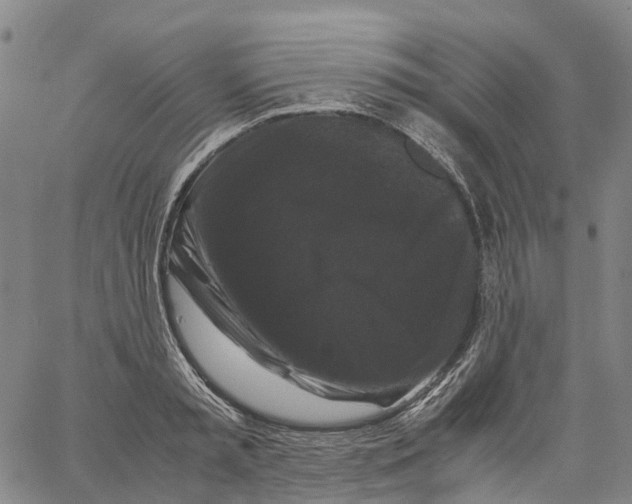 X0000062830797200602101510