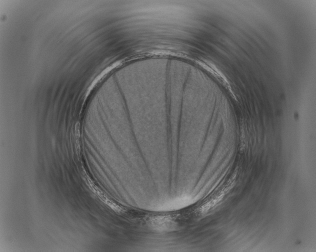 X0000062830798200602101510