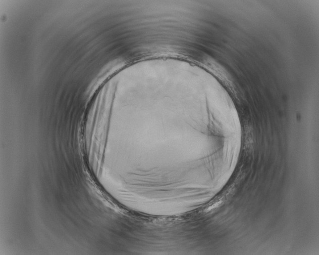 X0000062830806200602101510