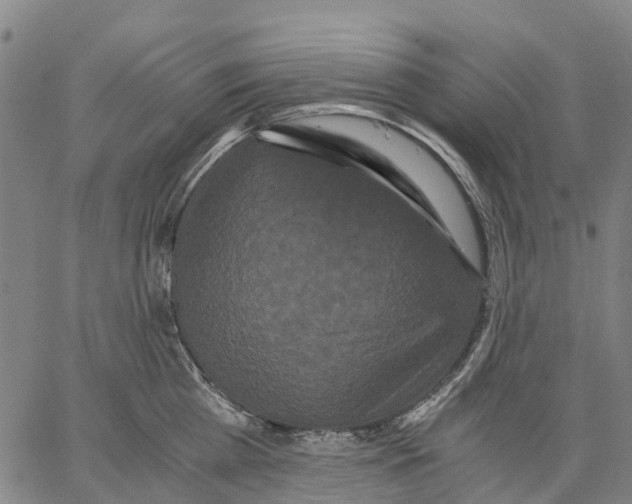 X0000062830809200602101510