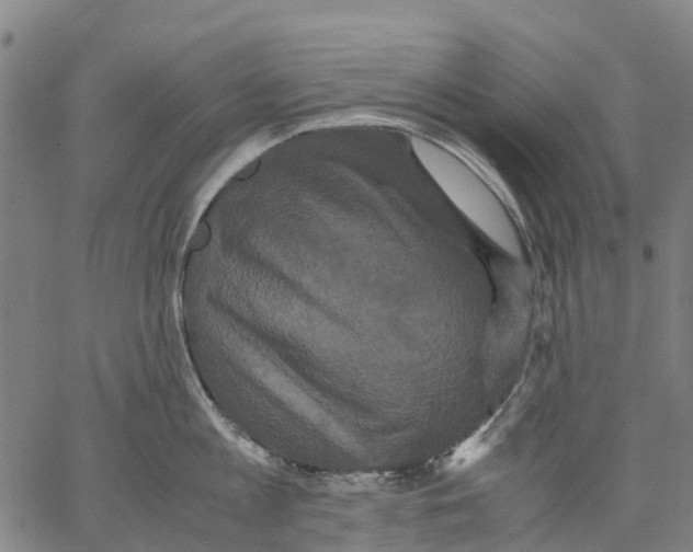 X0000062830813200602101510