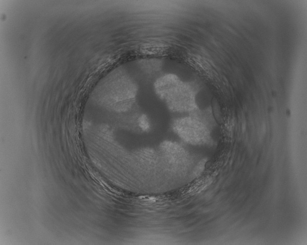 X0000062830817200602101509