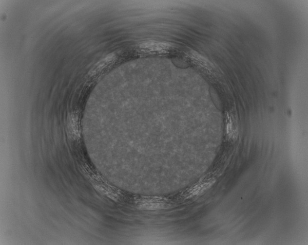 X0000062830819200602101509