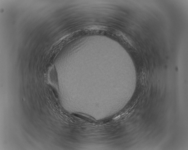 X0000062830821200602101509
