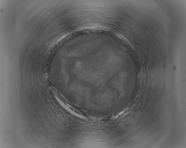 X0000062830822200602101509
