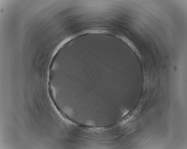 X0000062830853200602101510