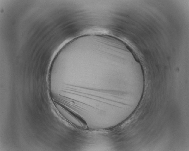 X0000062830864200602101510