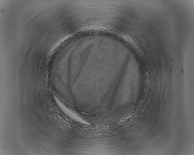 X0000062830872200602101509