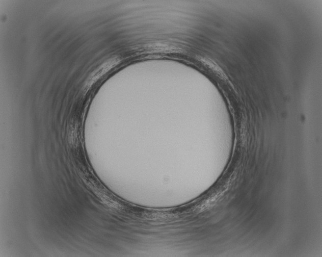 X0000062830873200602101509