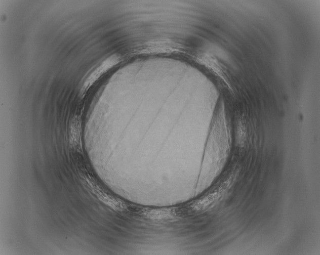 X0000062830874200602101509