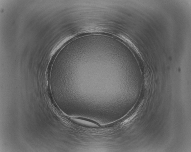 X0000062830885200602101509