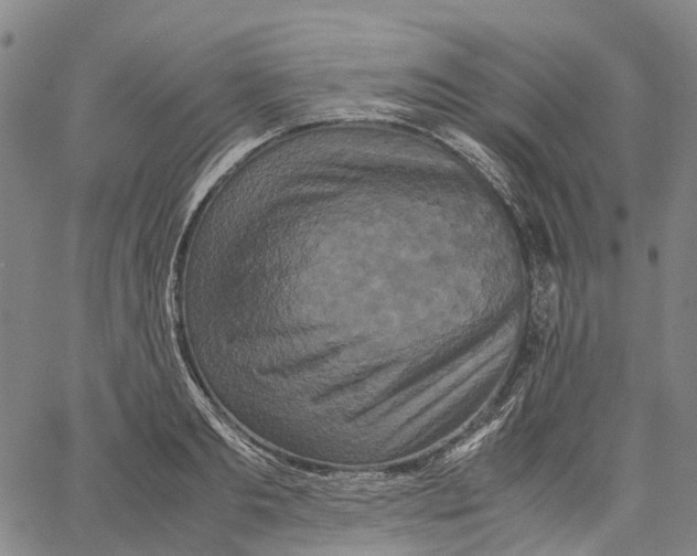 X0000062830893200602101509