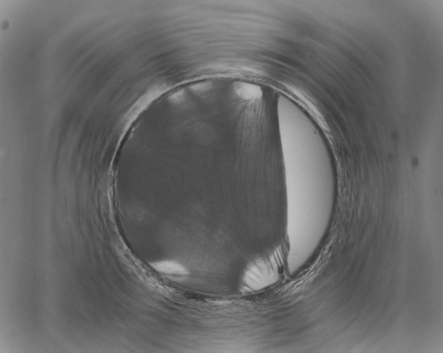 X0000062830899200602101509
