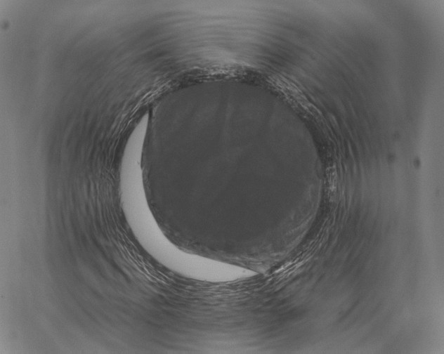 X0000062830916200602101508