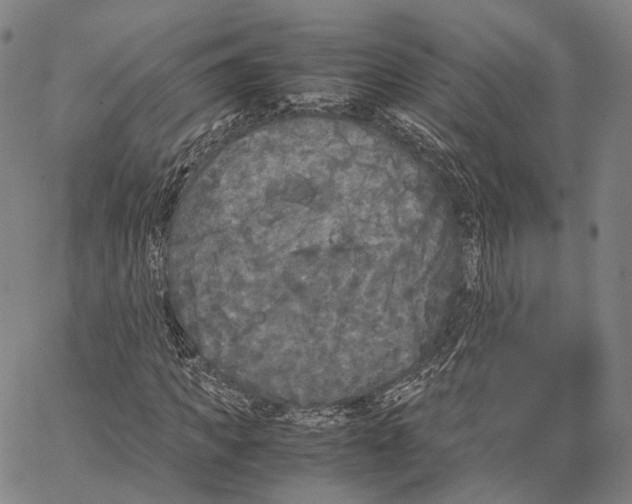 X0000062830917200602101508
