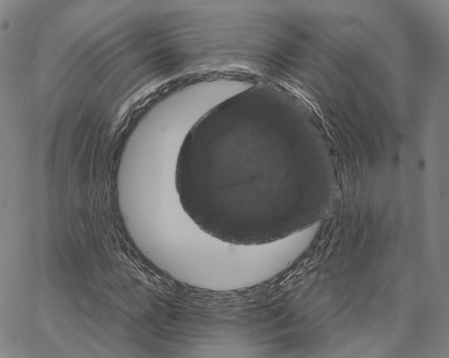 X0000062830920200602101508