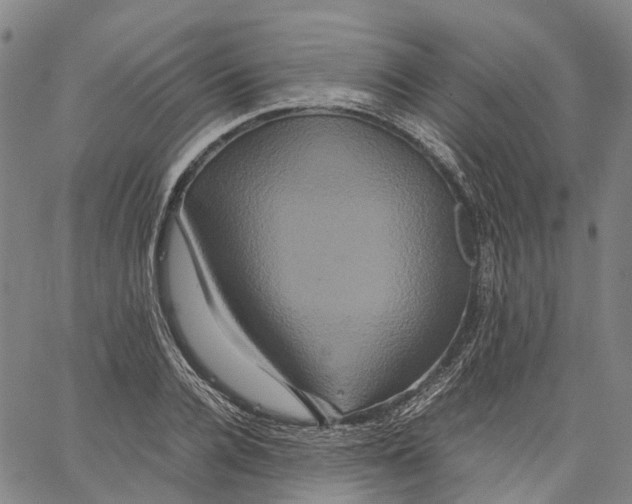 X0000062830936200602101508
