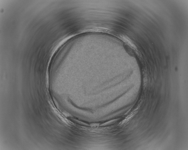 X0000062830940200602101508