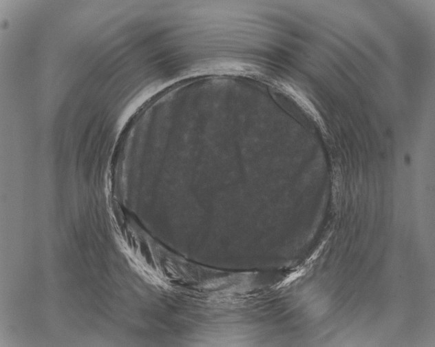 X0000062830944200602101508