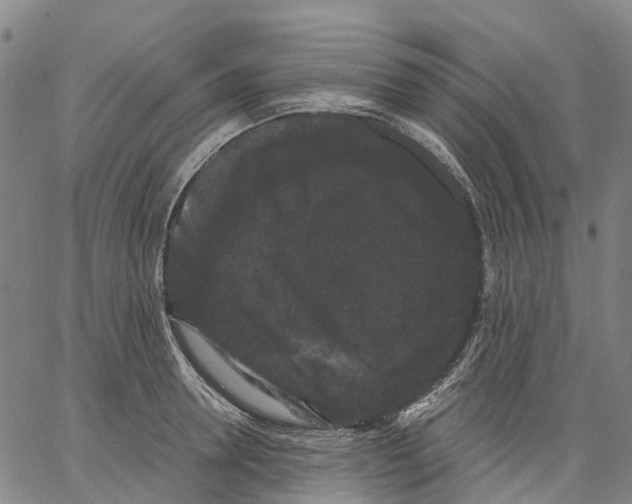 X0000062830946200602101508