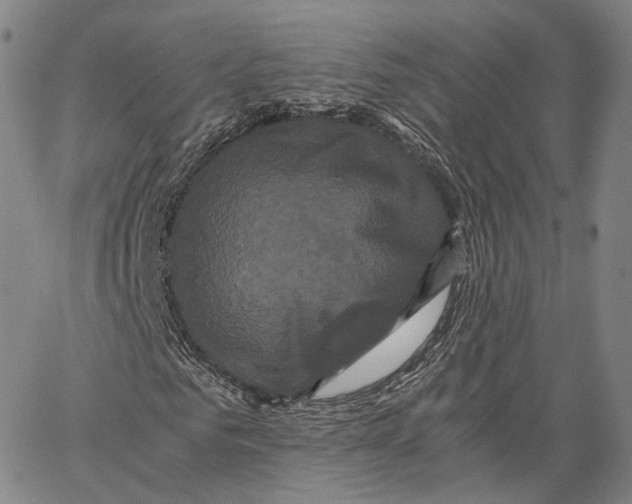 X0000062830961200602101508