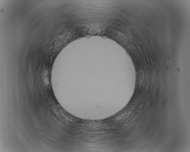 X0000062830962200602101508