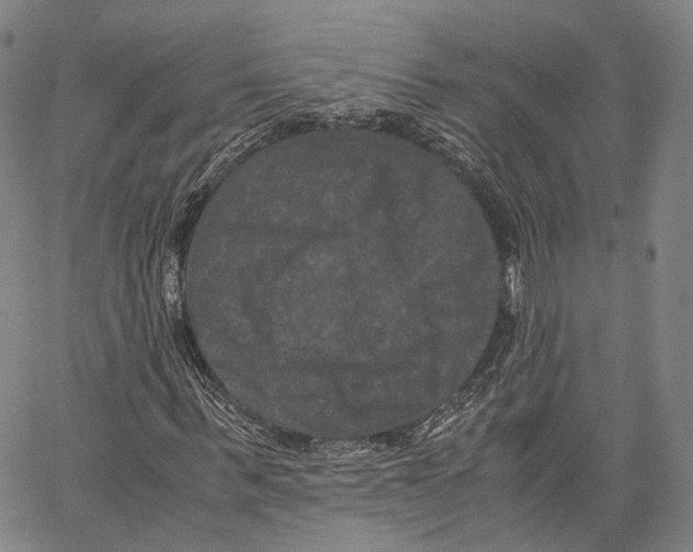 X0000062830963200602101508