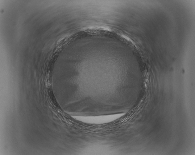 X0000062830965200602101507