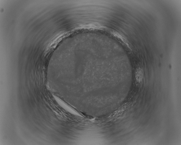 X0000062830968200602101507