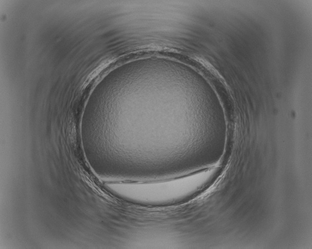 X0000062830969200602101507