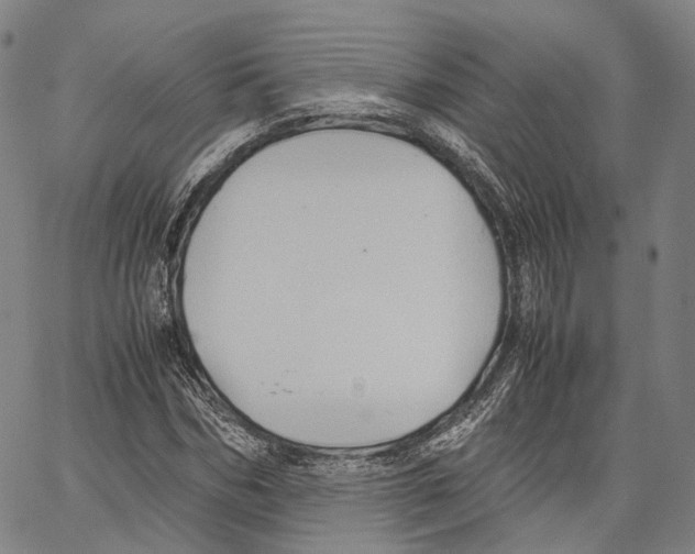 X0000062830970200602101507