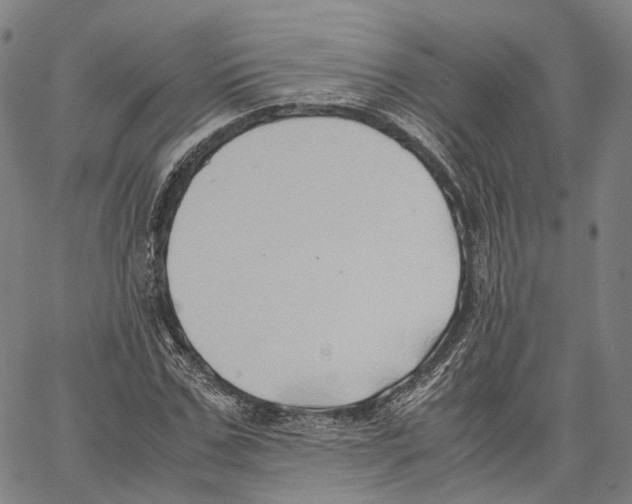 X0000062830971200602101507