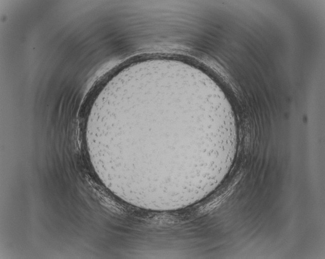 X0000062830974200602101507
