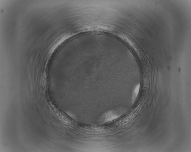 X0000062830975200602101507
