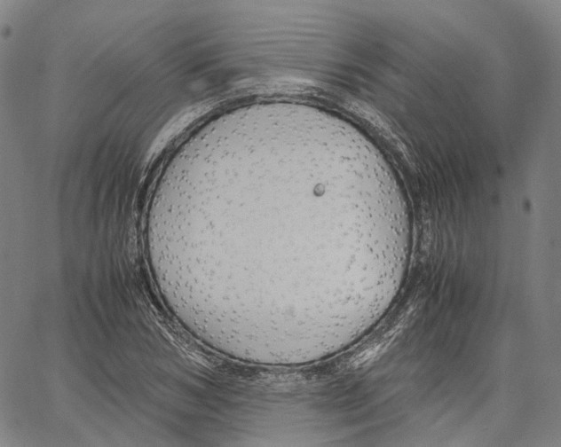 X0000062830978200602101507