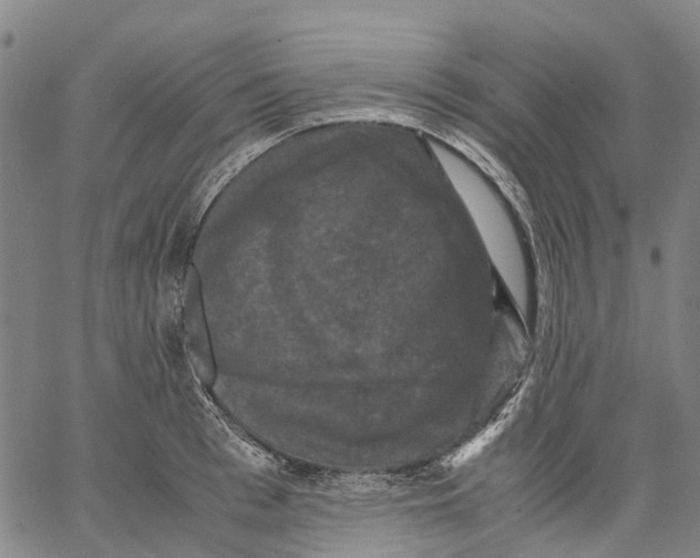 X0000062830993200602101507