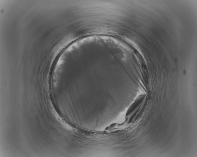 X0000062830995200602101507