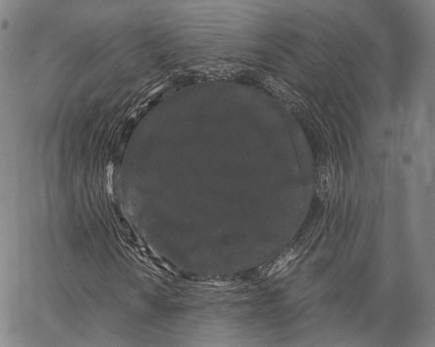 X0000062831010200602101506
