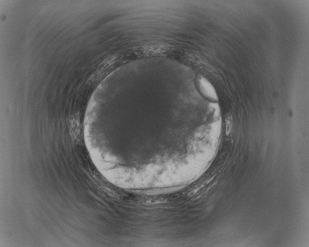 X0000062831011200602101506