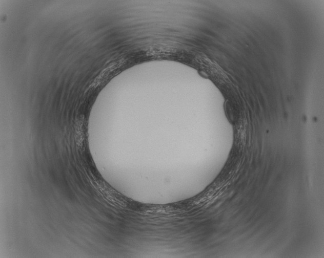 X0000062831012200602101506