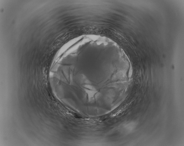 X0000062831013200602101506